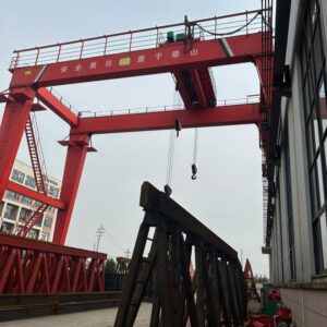 Golden United Global Gantry Crane 5