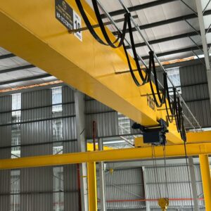 Golden United Global Overhead Crane 20