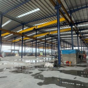 Golden United Global Overhead Crane 21