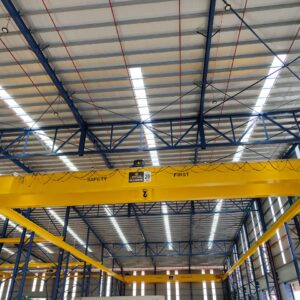 Golden United Global Overhead Crane 33
